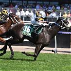 summoned stakes bet on